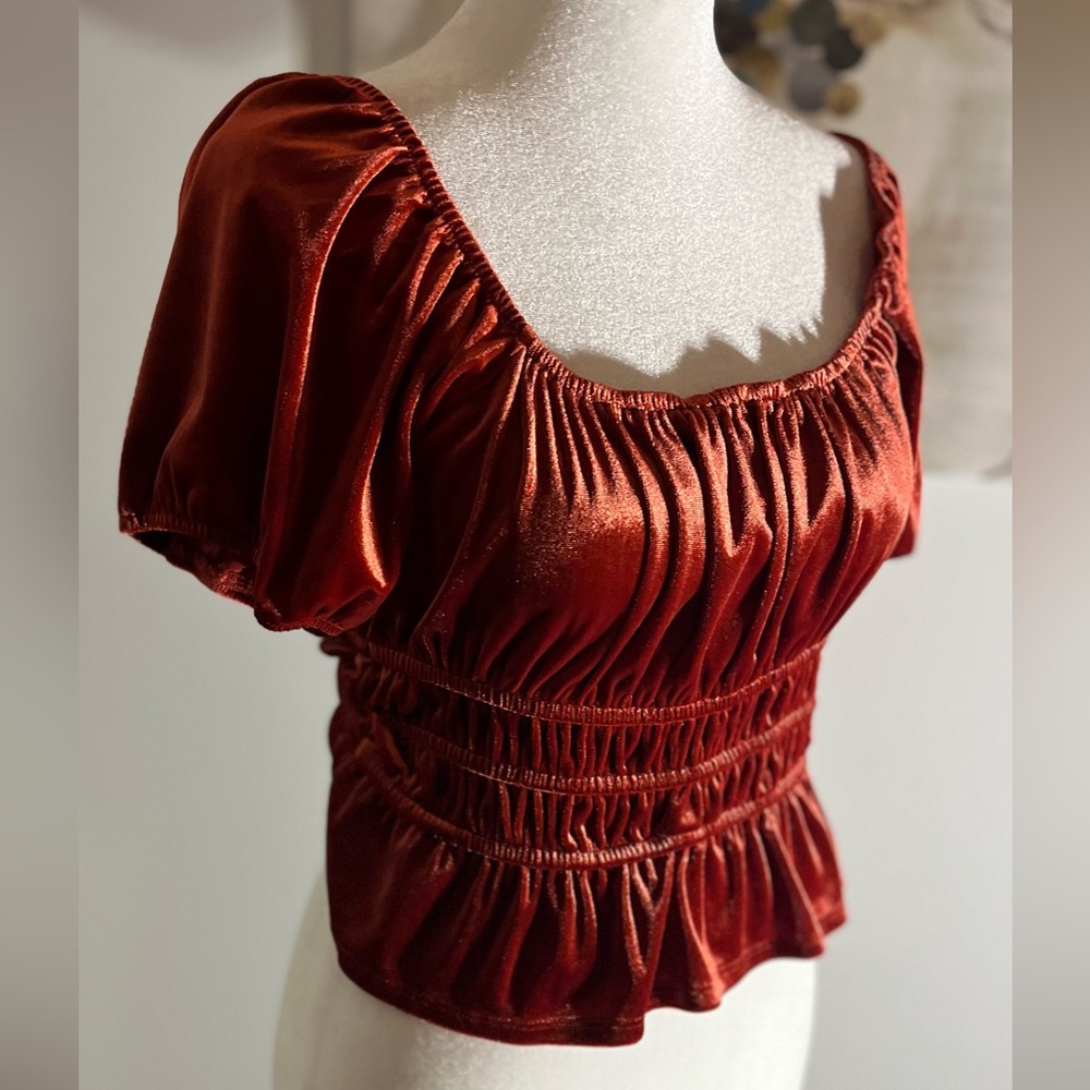 ROW A Women’s Burnt Velvet Tiered Hem Stretch Crop Top Shirt Medium Nordstrom - Picture 2 of 12